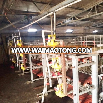 New design poultry farm layer chicken cages for sale