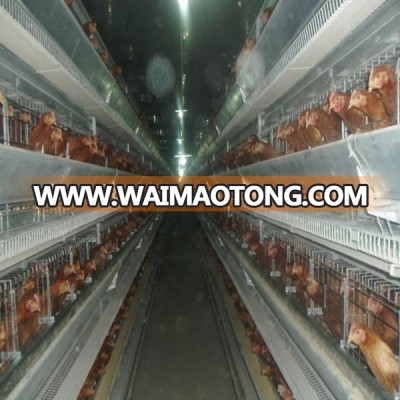 Automatic water system A type selling chicken layer cage