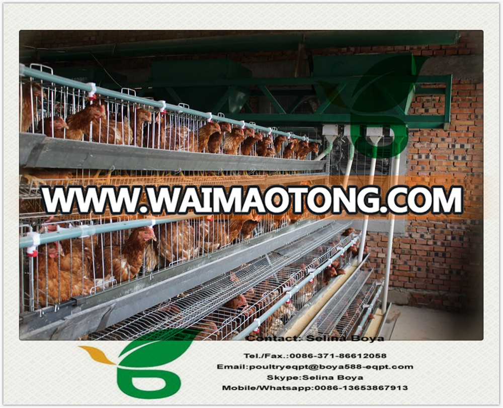 LEON Hot Sale automatic poultry farming livestock equipment for chicken shed